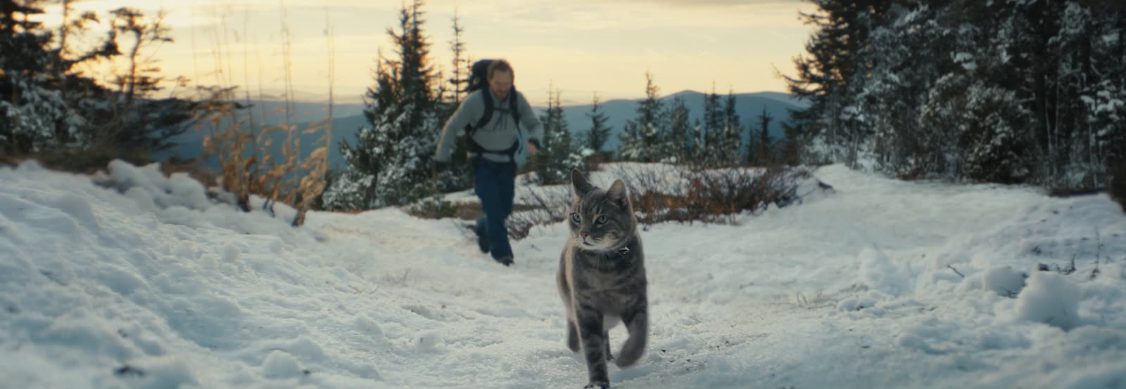 Chevrolet | Walter In The Winter