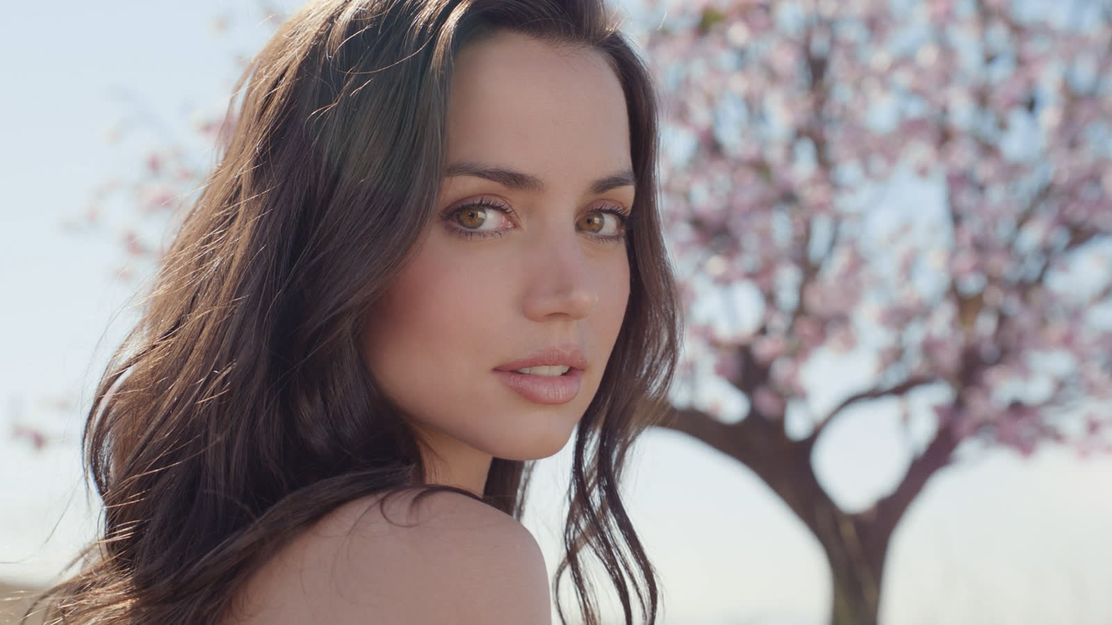 Estée Lauder | Beautiful Magnolia
